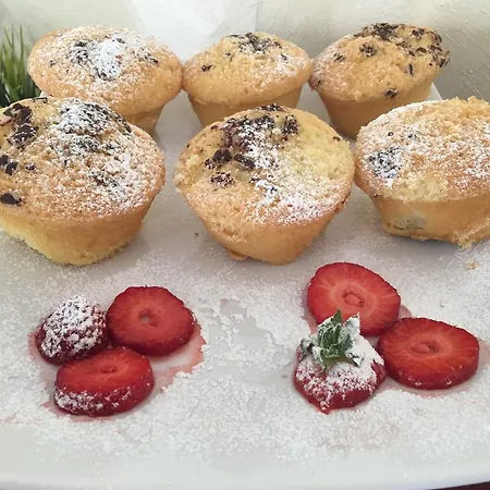 酒店 梦幻酒店 里米尼